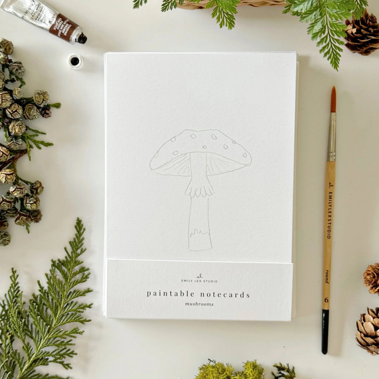 mushrooms paintable watercolor notecards