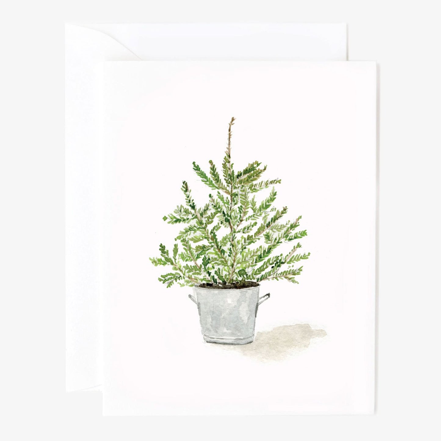 evergreen christmas notecard set