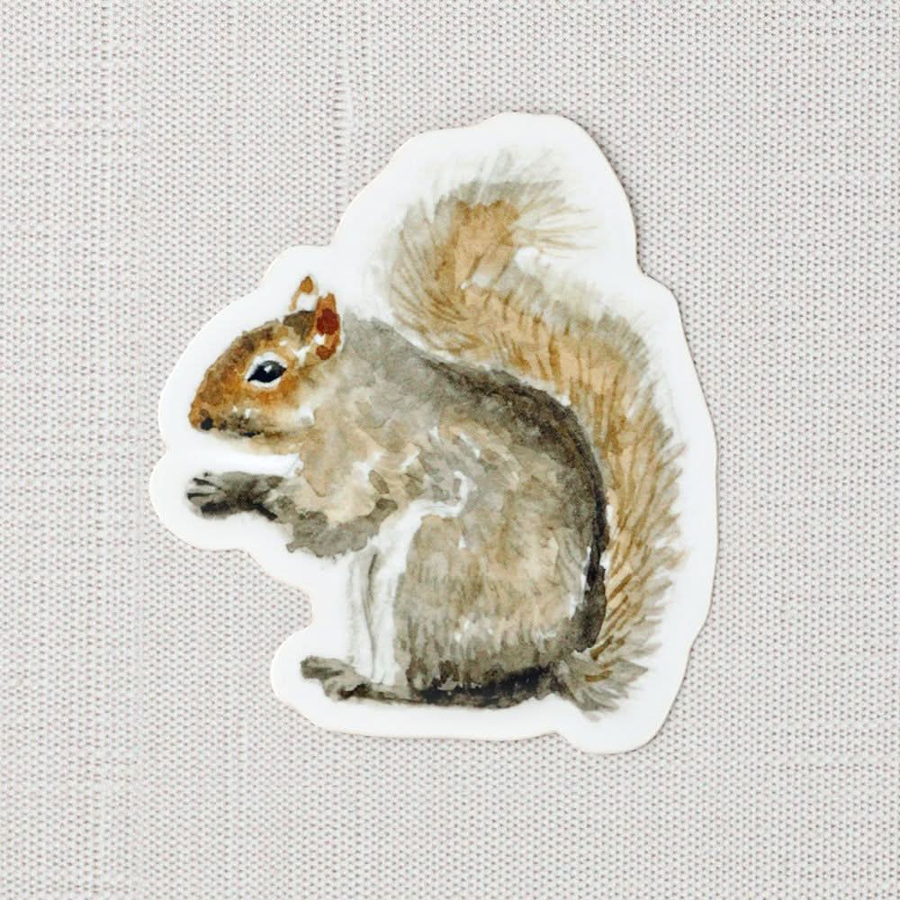 squirrel sticker - emily lex studio - sticker