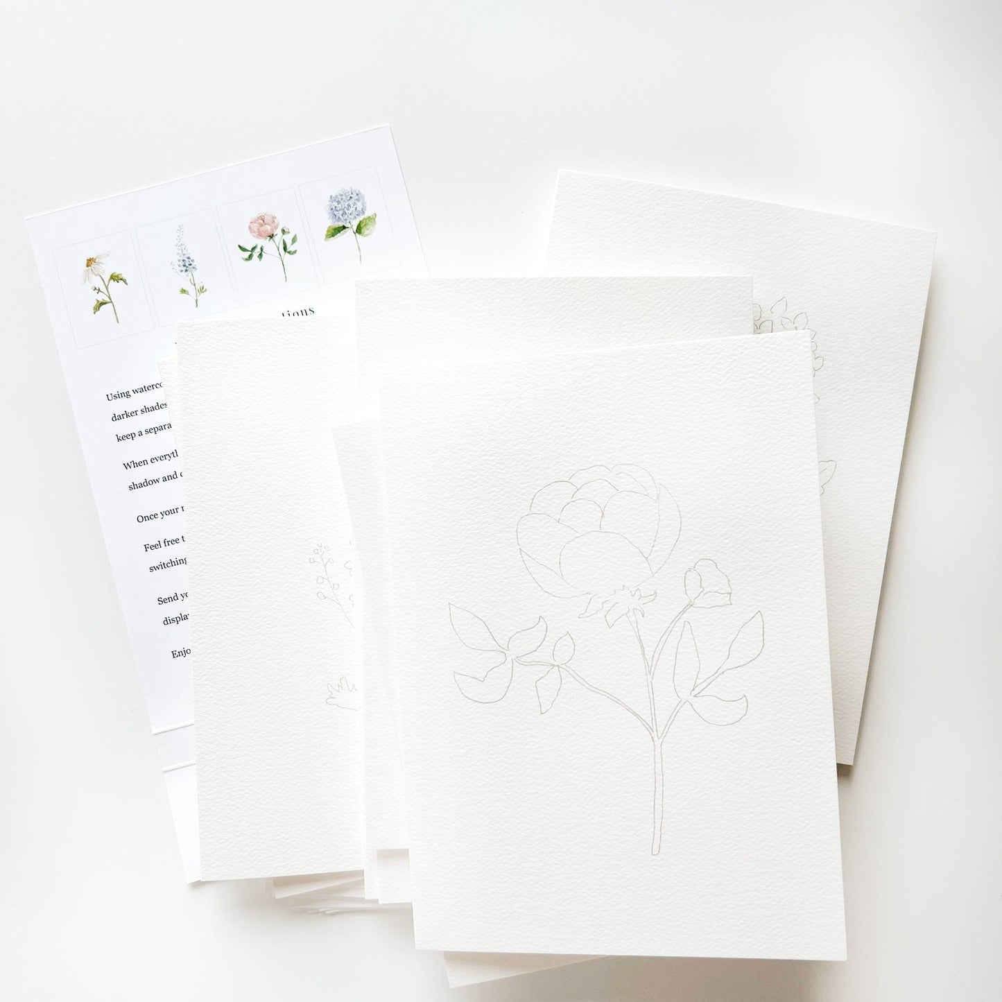 garden flowers paintable notecards - emily lex studio