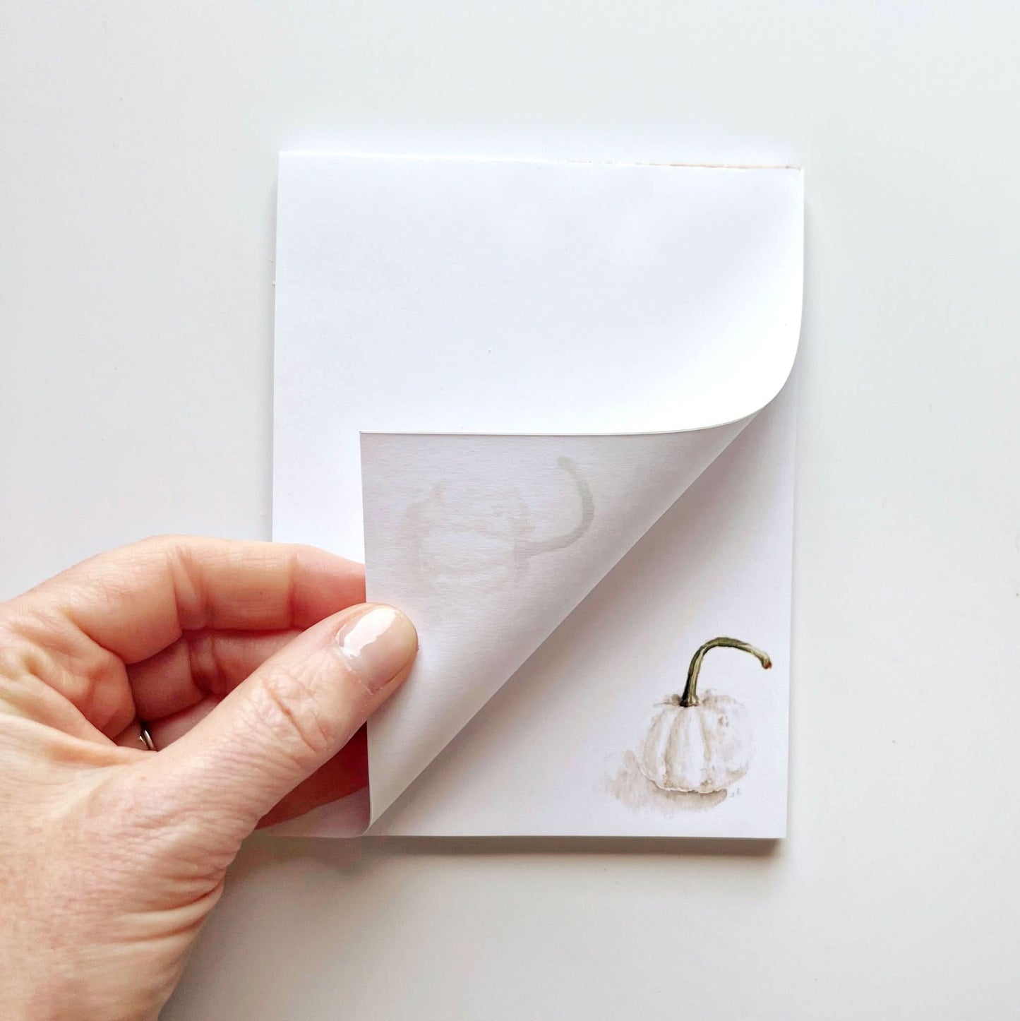 white pumpkin notepad