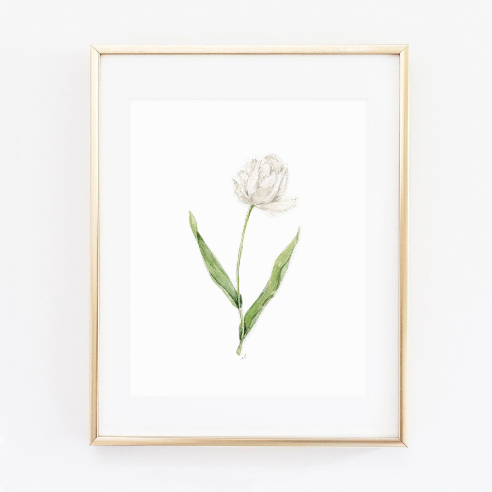 white tulip art print