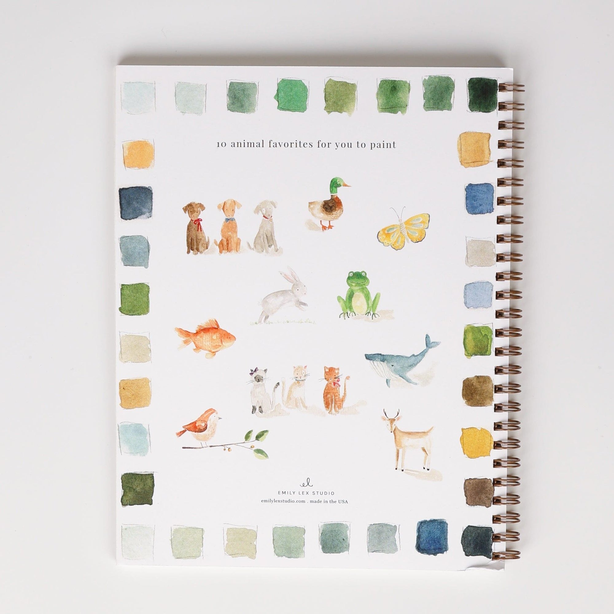 Emily Lex Watercolor Package and Classes (Review)  Watercolor packaging,  Watercolor, Watercolor animals