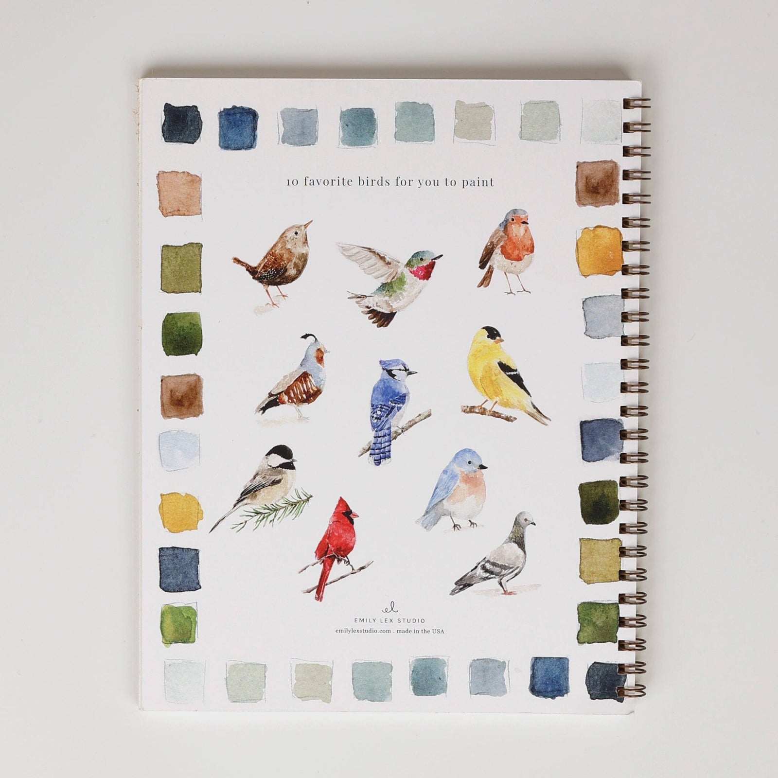 Emily Lex Studio Watercolor Paint Set - Birds Connect Seattle Nature Shop