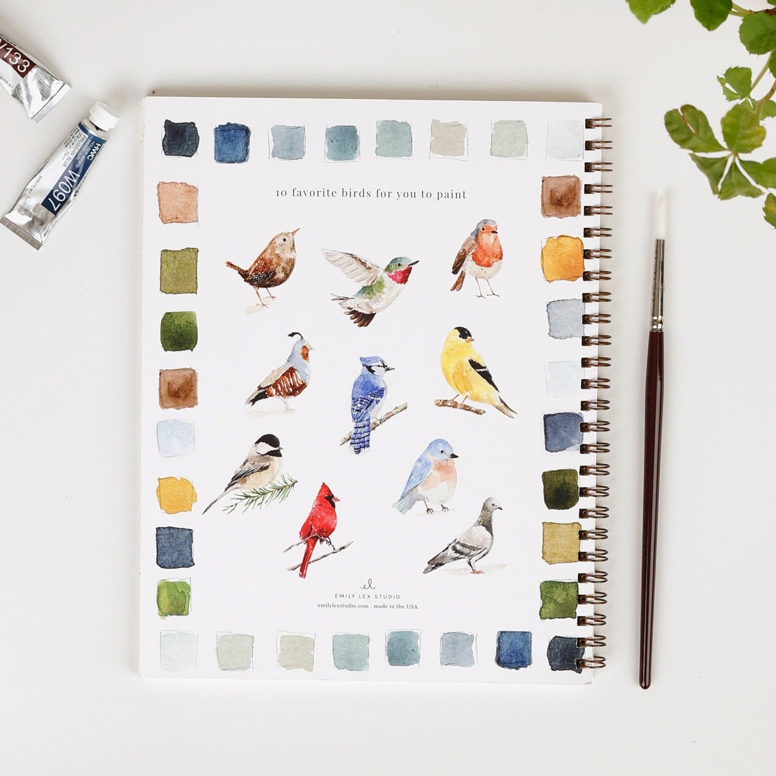 Emily Lex Studio Watercolor Paint Set - Birds Connect Seattle