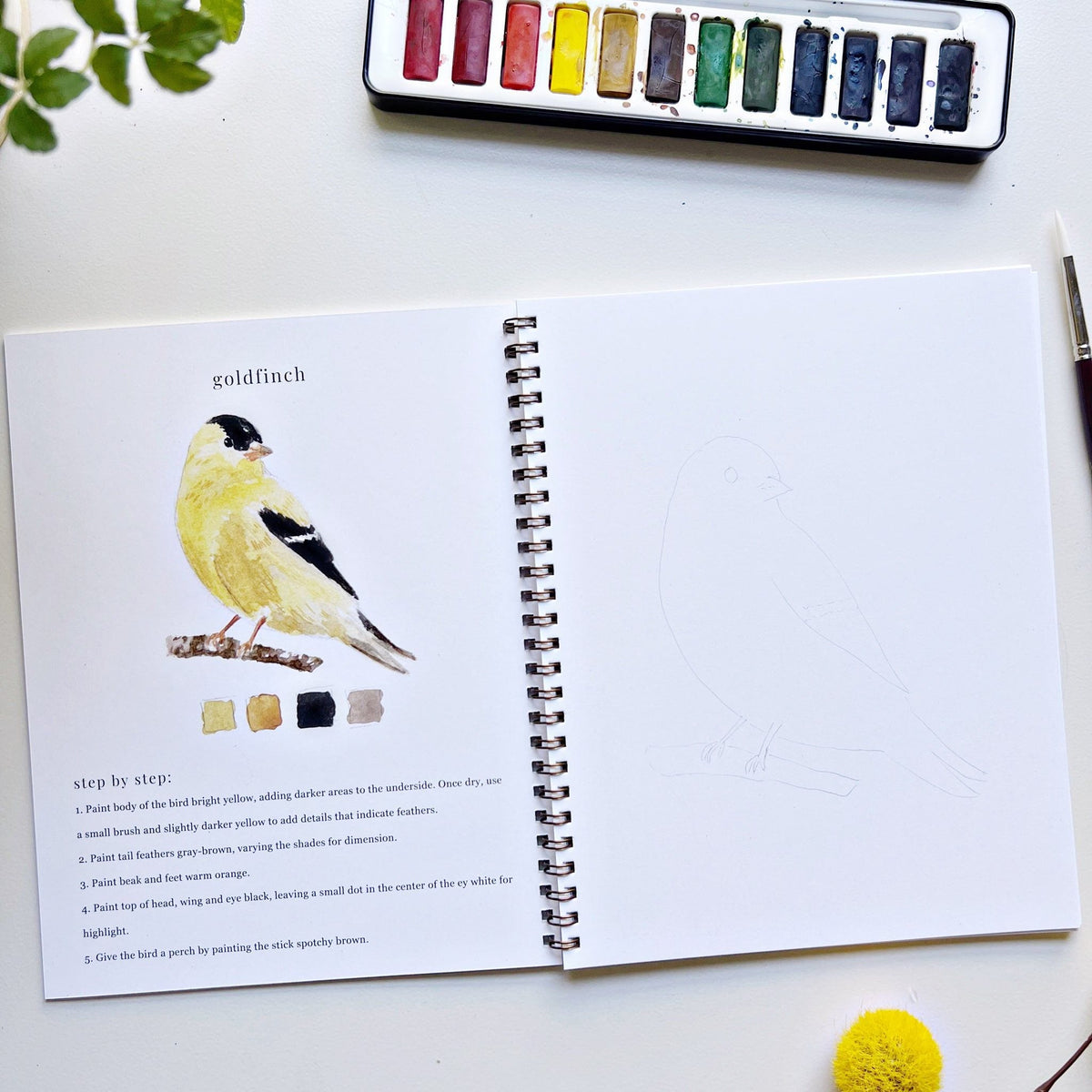 emily lex Watercolor Workbook Birds - Antiquaria