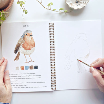 birds watercolor workbook