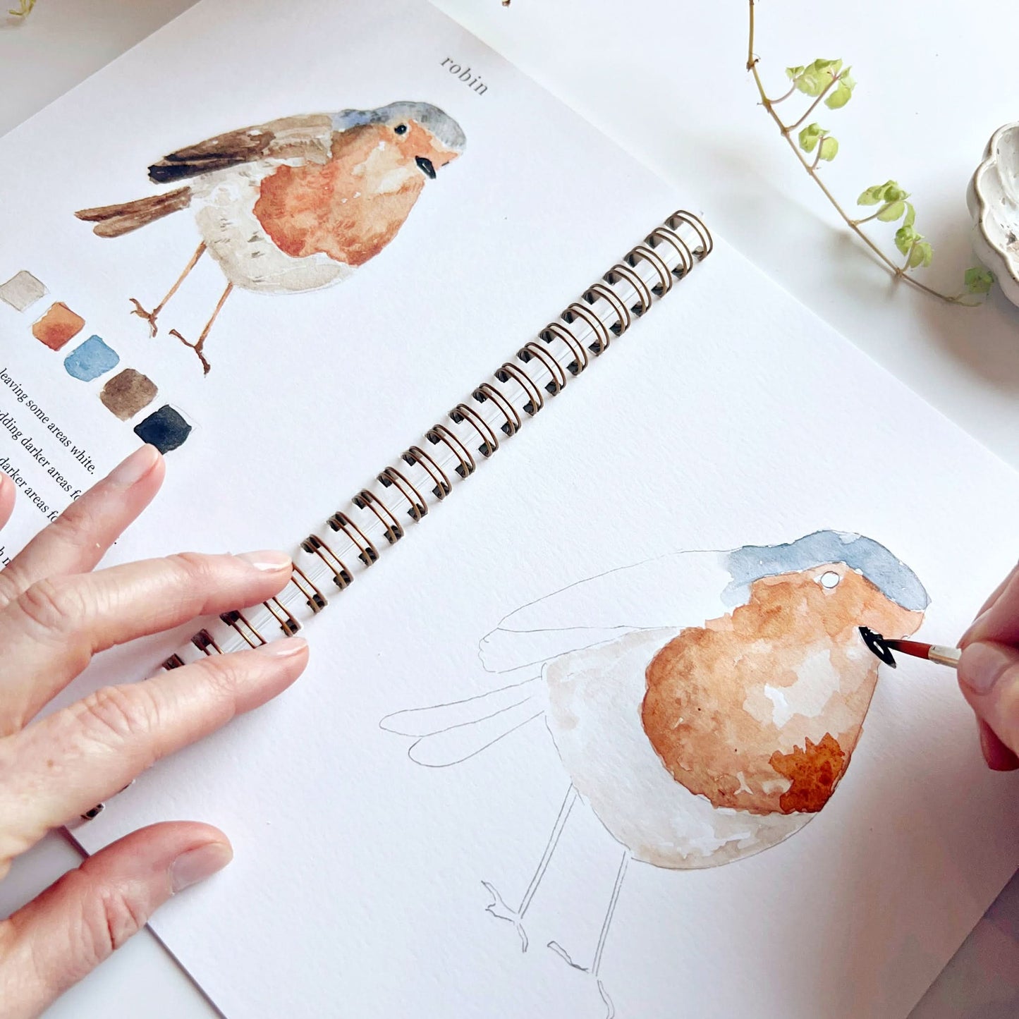 birds watercolor workbook