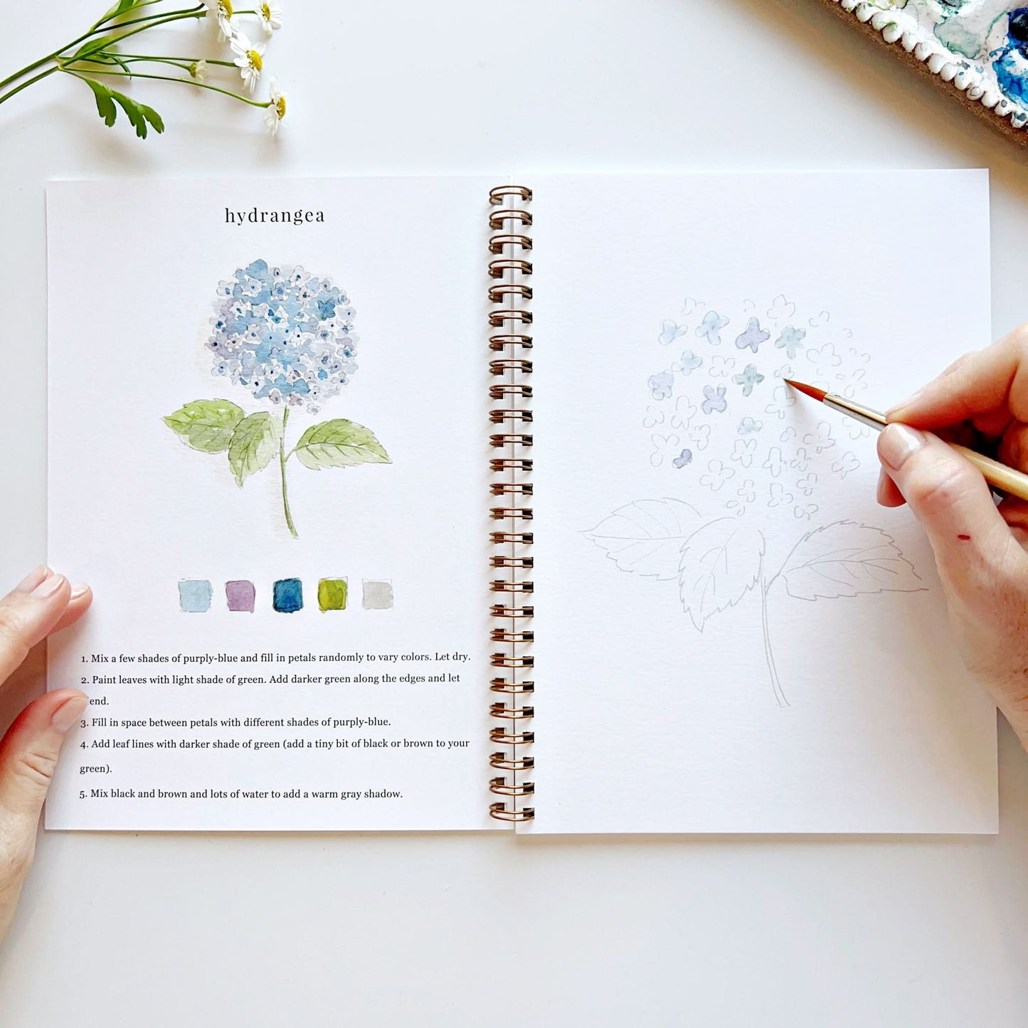 flowers watercolor workbook