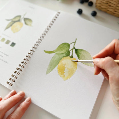 fruit watercolor workbook