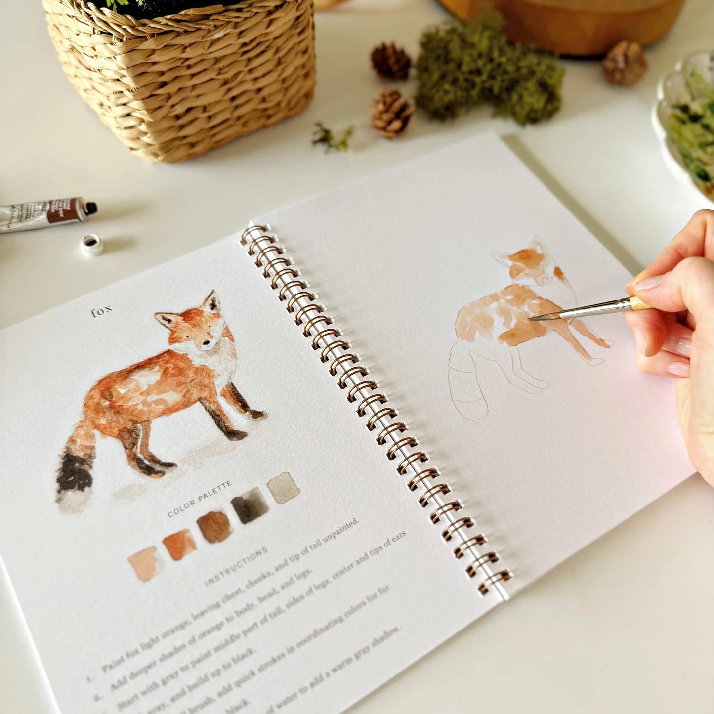 woodland watercolor workbook