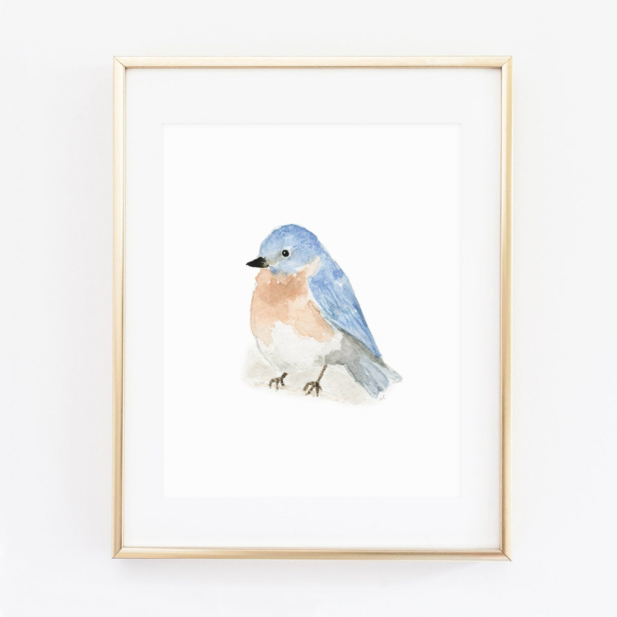 bluebird art print - emily lex studio