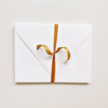 envelopes - emily lex studio