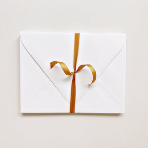 envelopes - emily lex studio