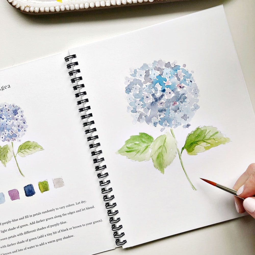 watercolor workbook flowers - emily lex studio