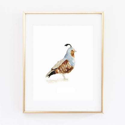 quail art print - emily lex studio