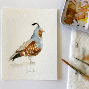 quail art print - emily lex studio