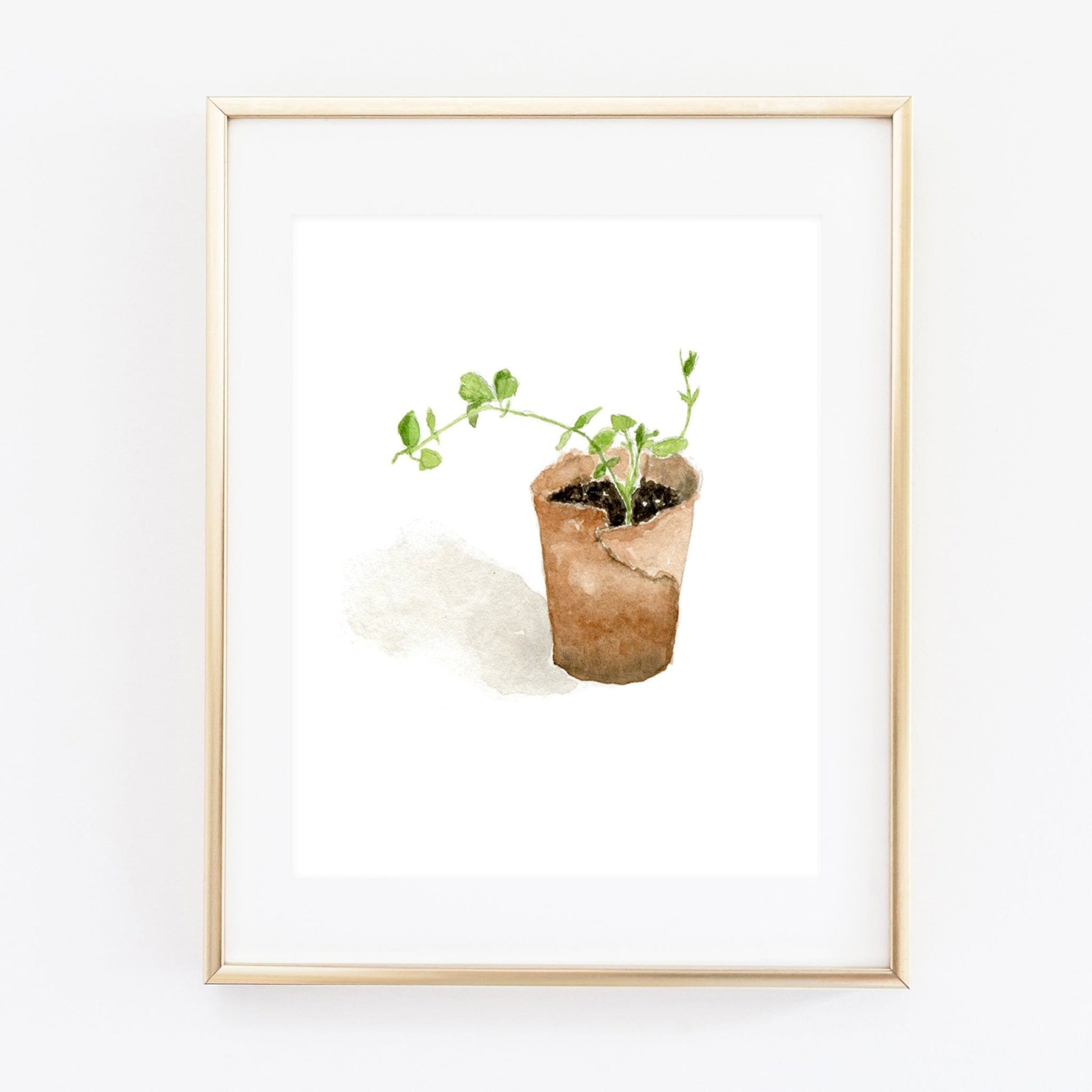 sweet pea art print - emily lex studio