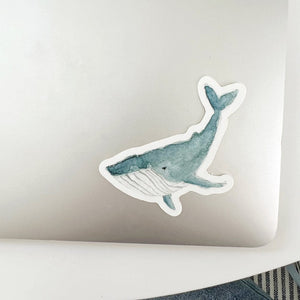 whale sticker